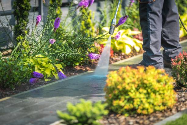 Best Patio and Deck Pressure Washing  in Booker, TX